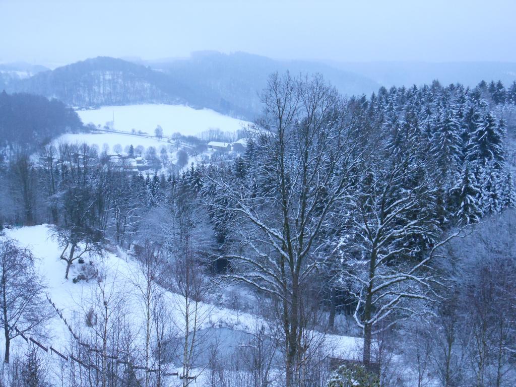 Gite Le Gros Chene Bouillon Ruang foto